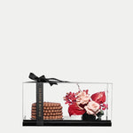 Roha Bundle