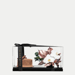Hemera Bundle