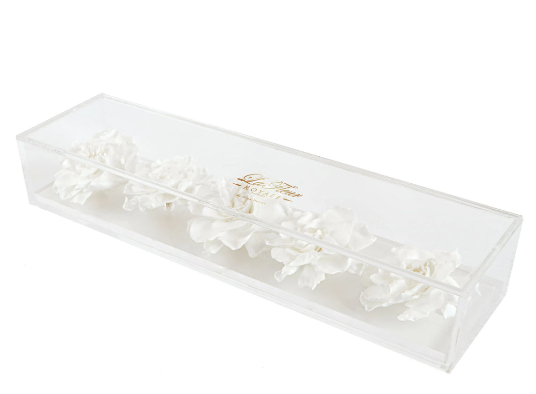 Le Clair Gardenia