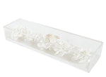 Le Clair Gardenia