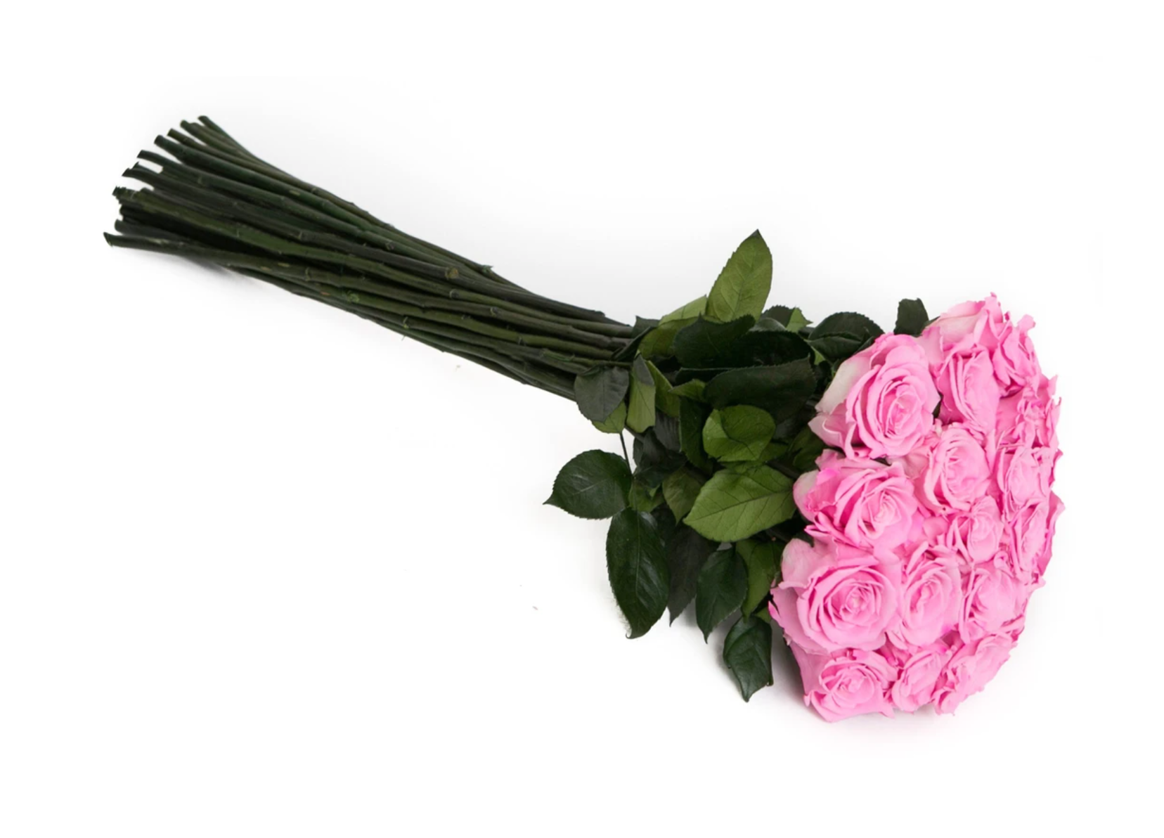 Eternal Bouquet
