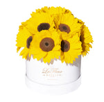 Sunflower Dome