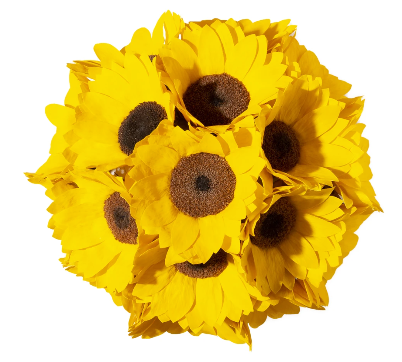 Sunflower Dome