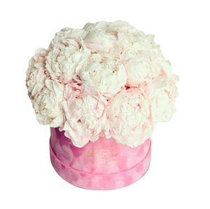 Mini Peony Dome
