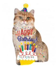 Birthday Kitten