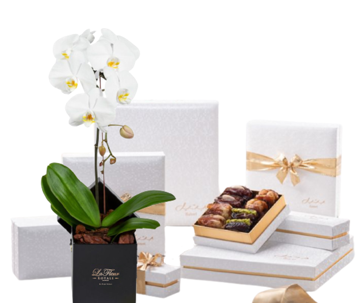 Medjoul Gift Set