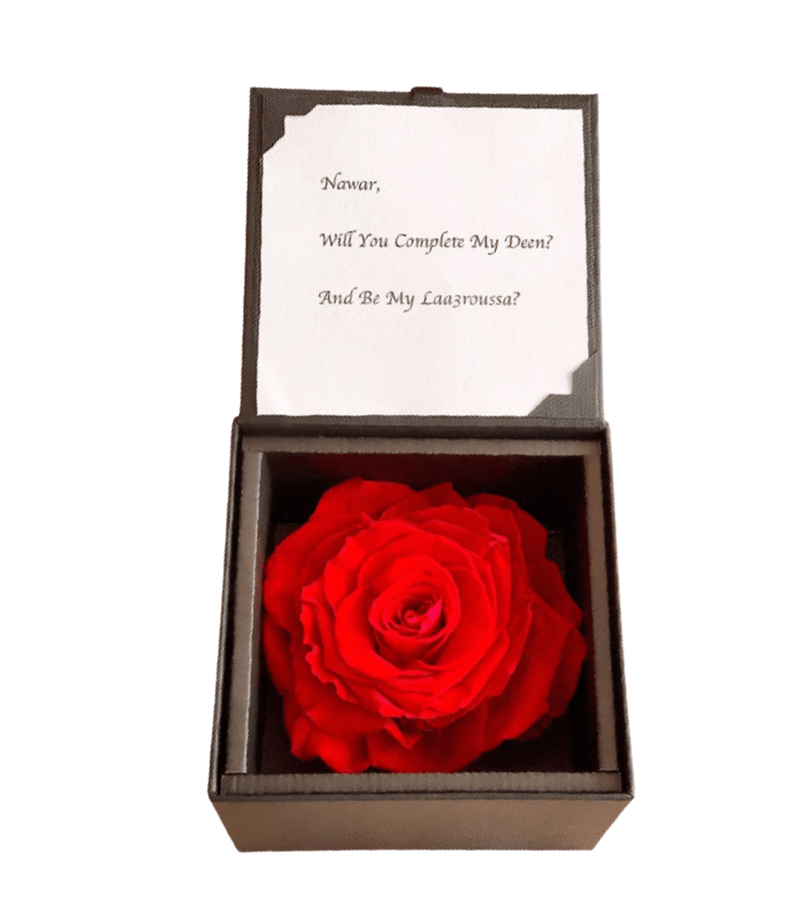Bloom in Box