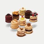 Mini Cakes Bundle