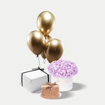 Hydrangeas Bundle
