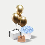 Hydrangeas Bundle